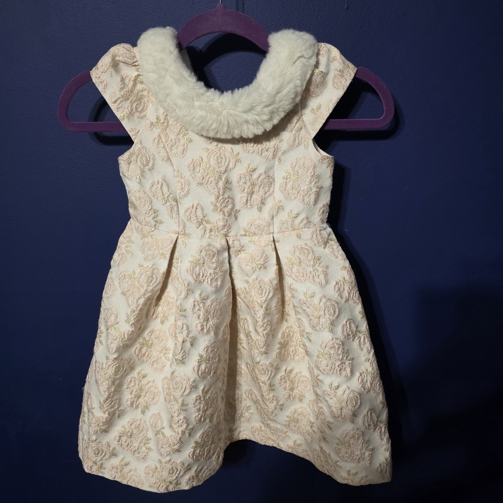 Janie and Jack Pink Cream gold Floral Jacquard fur collar formal pleated dress 5